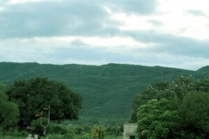 How AI is Revolutionizing Sustainability