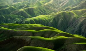 Simple Steps to a Greener Lifestyle