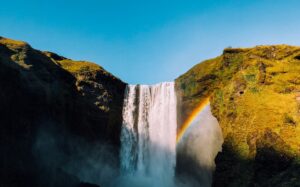 Inspiring Stories: Nature’s Resilience