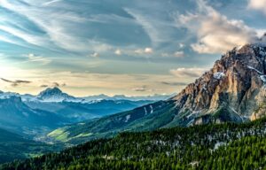 Nature’s Role in Modern Design Trends